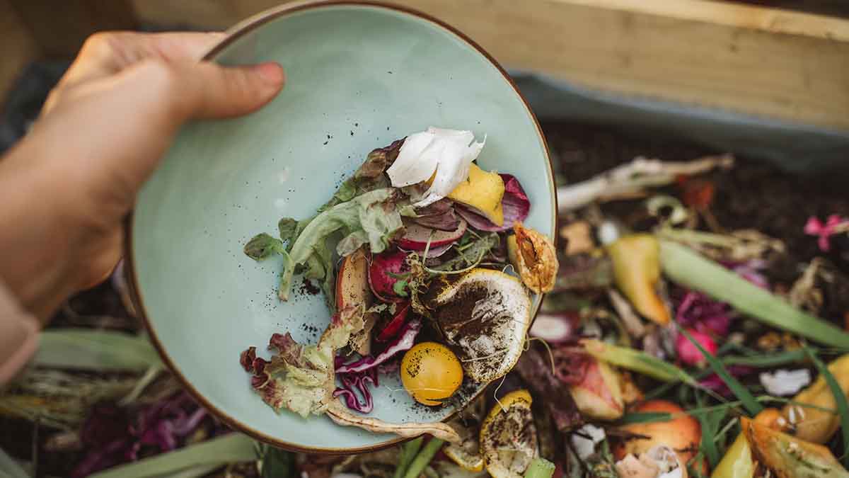 La razón por la que no deberías guardar las verduras en bolsas de plástico, RESPUESTAS